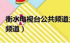 衡水电视台公共频道主持人（衡水电视台公共频道）