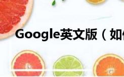 Google英文版（如何上google英文版）