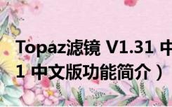 Topaz滤镜 V1.31 中文版（Topaz滤镜 V1.31 中文版功能简介）