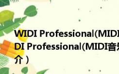 WIDI Professional(MIDI音乐制作软件) V4.5 官方版（WIDI Professional(MIDI音乐制作软件) V4.5 官方版功能简介）