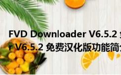 FVD Downloader V6.5.2 免费汉化版（FVD Downloader V6.5.2 免费汉化版功能简介）