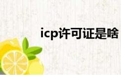 icp许可证是啥（icp证是什么）