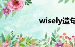 wisely造句（wisely）