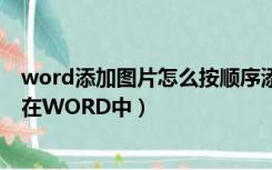 word添加图片怎么按顺序添加（如何批量按顺序插入图片 在WORD中）