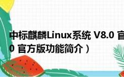 中标麒麟Linux系统 V8.0 官方版（中标麒麟Linux系统 V8.0 官方版功能简介）