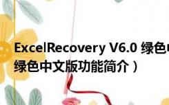 ExcelRecovery V6.0 绿色中文版（ExcelRecovery V6.0 绿色中文版功能简介）