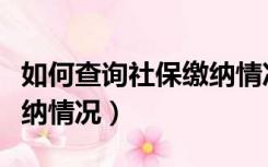 如何查询社保缴纳情况清单（如何查询社保缴纳情况）