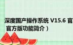 深度国产操作系统 V15.6 官方版（深度国产操作系统 V15.6 官方版功能简介）