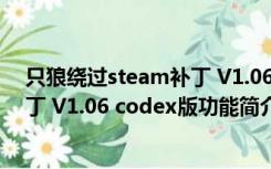 只狼绕过steam补丁 V1.06 codex版（只狼绕过steam补丁 V1.06 codex版功能简介）