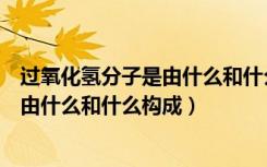 过氧化氢分子是由什么和什么构成的结构（过氧化氢分子是由什么和什么构成）