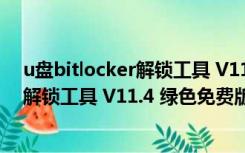 u盘bitlocker解锁工具 V11.4 绿色免费版（u盘bitlocker解锁工具 V11.4 绿色免费版功能简介）