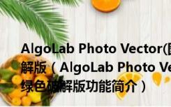 AlgoLab Photo Vector(图片矢量化工具)V1.98.88 绿色破解版（AlgoLab Photo Vector(图片矢量化工具)V1.98.88 绿色破解版功能简介）