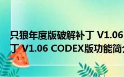 只狼年度版破解补丁 V1.06 CODEX版（只狼年度版破解补丁 V1.06 CODEX版功能简介）