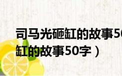 司马光砸缸的故事50字到100字（司马光砸缸的故事50字）