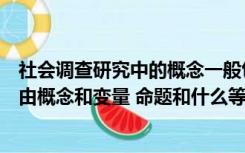 社会调查研究中的概念一般包括（社会调查研究的观点具体由概念和变量 命题和什么等理论要素）