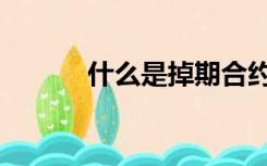 什么是掉期合约（什么是掉期）