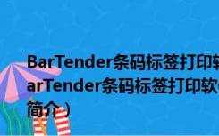 BarTender条码标签打印软件破解版 V11.3 激活密钥版（BarTender条码标签打印软件破解版 V11.3 激活密钥版功能简介）