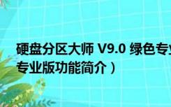 硬盘分区大师 V9.0 绿色专业版（硬盘分区大师 V9.0 绿色专业版功能简介）