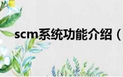 scm系统功能介绍（什么叫做SCM系统）