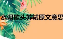 水调歌头苏轼原文意思（水调歌头 苏轼原文）