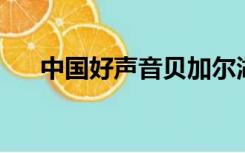 中国好声音贝加尔湖畔 周深 李维 外国