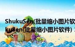 ShukuSen(批量缩小图片软件) 1.50 汉化绿色免费版（ShukuSen(批量缩小图片软件) 1.50 汉化绿色免费版功能简介）