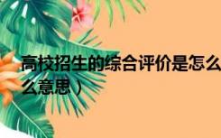 高校招生的综合评价是怎么回事?（高校综合评价招生是什么意思）