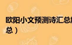 欧阳小文预测诗汇总解释（欧阳小文预测诗汇总）