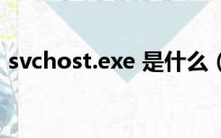 svchost.exe 是什么（svchost exe是什么）