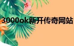 3000ok新开传奇网站（30ok传奇私服网站）