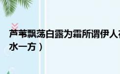 芦苇飘荡白露为霜所谓伊人在水一方（白露为霜所谓伊人在水一方）