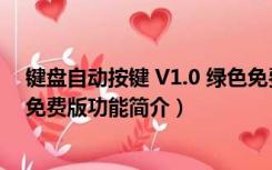 键盘自动按键 V1.0 绿色免费版（键盘自动按键 V1.0 绿色免费版功能简介）