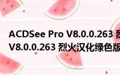 ACDSee Pro V8.0.0.263 烈火汉化绿色版（ACDSee Pro V8.0.0.263 烈火汉化绿色版功能简介）