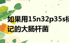 如果用15n32p35s标记噬菌体去侵染未被标记的大肠杆菌