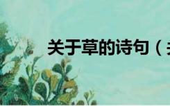 关于草的诗句（关于草原的诗句）