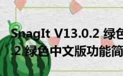 SnagIt V13.0.2 绿色中文版（SnagIt V13.0.2 绿色中文版功能简介）