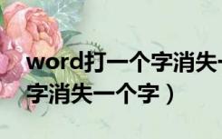 word打一个字消失一个字（word输入一个字消失一个字）