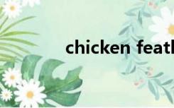 chicken feather是什么意思