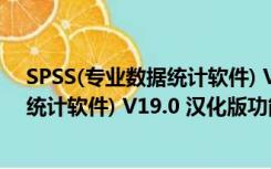 SPSS(专业数据统计软件) V19.0 汉化版（SPSS(专业数据统计软件) V19.0 汉化版功能简介）