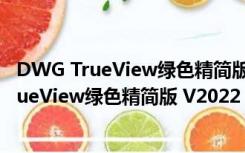 DWG TrueView绿色精简版 V2022 中文汉化版（DWG TrueView绿色精简版 V2022 中文汉化版功能简介）