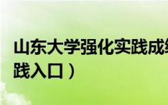 山东大学强化实践成绩查询（山东大学强化实践入口）