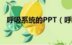 呼吸系统的PPT（呼吸系统疾病ppt课件）