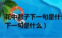 花中君子下一句是什么三年级下册（花中君子下一句是什么）