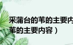 采蒲台的苇的主要内容概括50字（采蒲台的苇的主要内容）