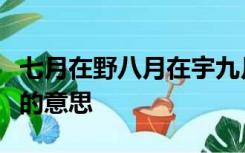 七月在野八月在宇九月在户十月蟋蟀入我床下的意思