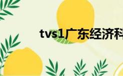 tvs1广东经济科教频道（tvs1）