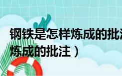 钢铁是怎样炼成的批注版电子书（钢铁是怎样炼成的批注）