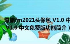 爆棚fm2021头像包 V1.0 中文免费版（爆棚fm2021头像包 V1.0 中文免费版功能简介）