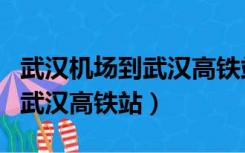 武汉机场到武汉高铁站有地铁吗（武汉机场到武汉高铁站）