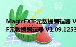 MagicEXIF元数据编辑器 V1.09.1253 官方版（MagicEXIF元数据编辑器 V1.09.1253 官方版功能简介）